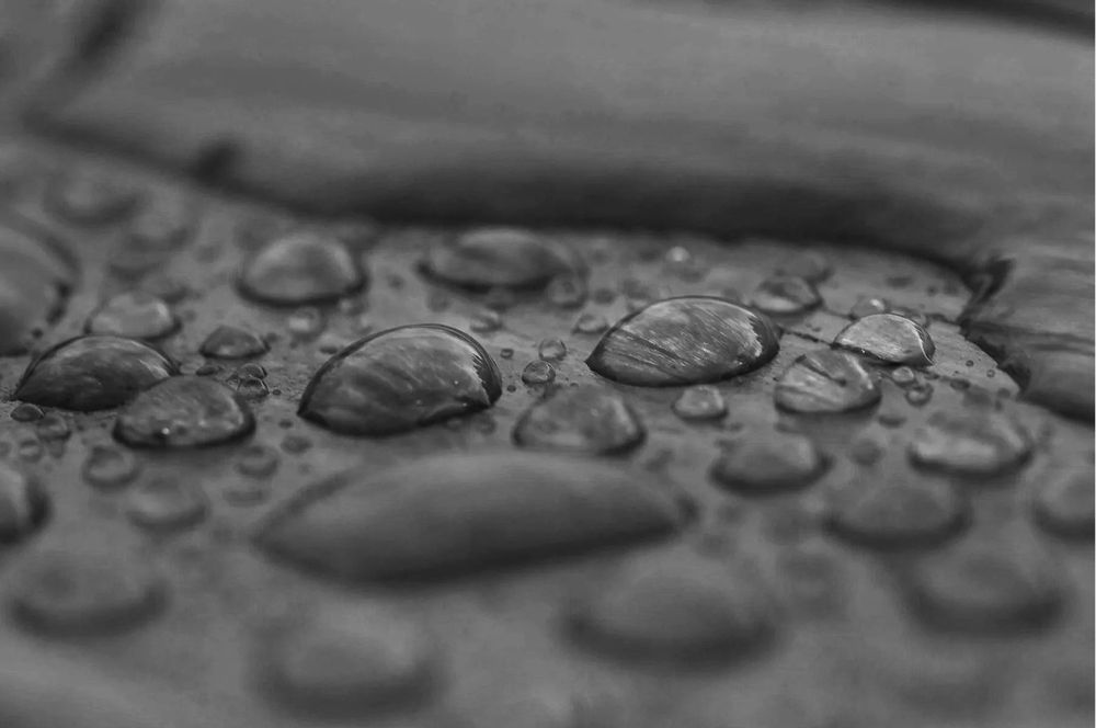 Water beaded on timber